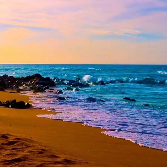 Meet Your Posher - Picture 1 of 1